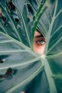 Who are your best customers - eye looking through leaves