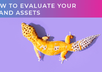 Campaign Planning: How to evaluate your brand assets