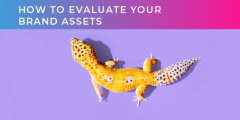 how to evaluate your brand assets