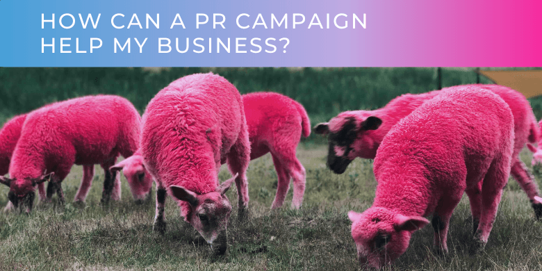 How Can A PR Campaign Help My Business