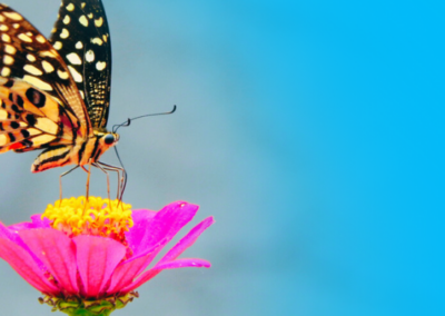 How to attract and keep the right kind of B2B talent
