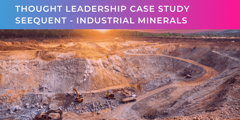 SEEQUENT Industrial Minerals Thought Leadership CASE STUDY