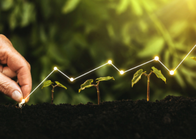 Insurtech Start-up Success: The Role of PR