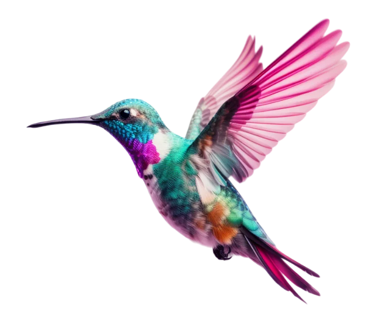 EC-PR The Power of Proactive Image - Public Relations hummingbird