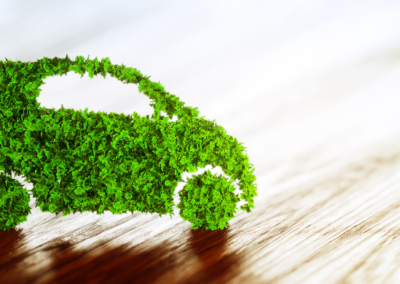 Why every business should care about sustainability