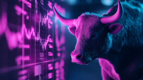 investor communications bull analyzes opportunity