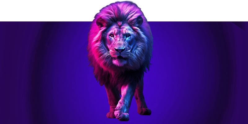Personal branding Personal branding services for B2B technology business leaders